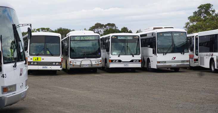 Latrobe Valley Hino 43, Scania 33, Iveco 8, Mercedes 44 & Iveco 9